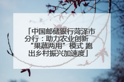 中国邮储银行菏泽市分行：助力农业创新 “果蔬两用”模式 跑出乡村振兴加速度