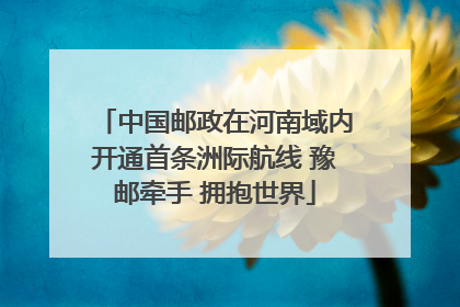 中国邮政在河南域内开通首条洲际航线 豫邮牵手 拥抱世界