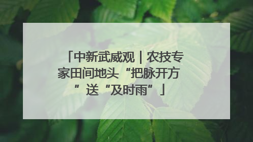 中新武威观｜农技专家田间地头“把脉开方”送“及时雨”