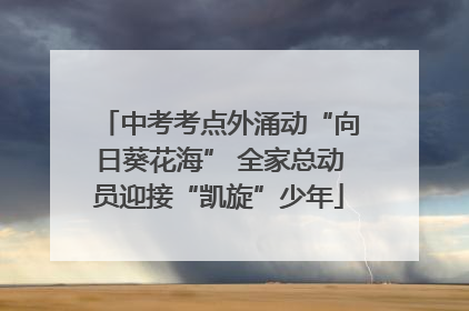 中考考点外涌动“向日葵花海” 全家总动员迎接“凯旋”少年