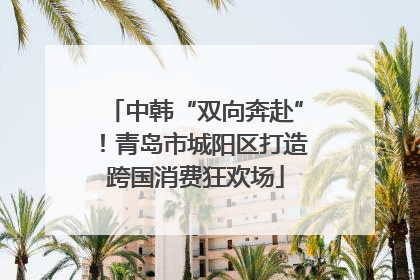 中韩“双向奔赴”！青岛市城阳区打造跨国消费狂欢场