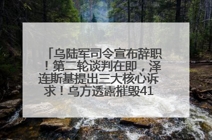 乌陆军司令宣布辞职！第二轮谈判在即，泽连斯基提出三大核心诉求！乌方透露摧毁41架俄战略轰炸机