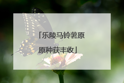 乐陵马铃薯原原种获丰收