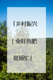 乡村振兴｜业旺鱼肥夏捕忙