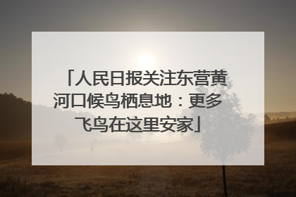 人民日报关注东营黄河口候鸟栖息地：更多飞鸟在这里安家