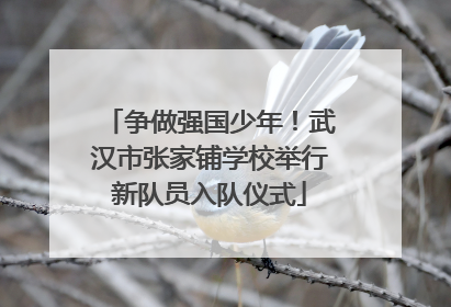 争做强国少年！武汉市张家铺学校举行新队员入队仪式