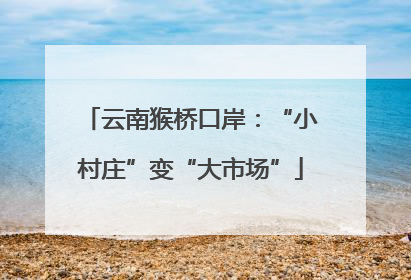 云南猴桥口岸：“小村庄”变“大市场”