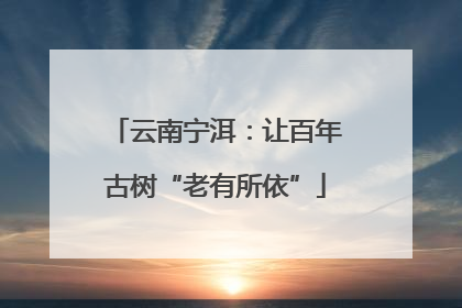 云南宁洱：让百年古树“老有所依”