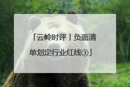 云岭时评丨负面清单划定行业红线③