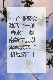 产业聚变激活“一池春水” 湖南新宁县以奔跑姿态“拼经济”