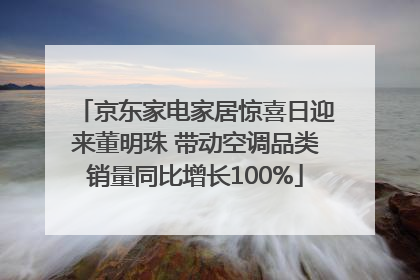 京东家电家居惊喜日迎来董明珠 带动空调品类销量同比增长100%