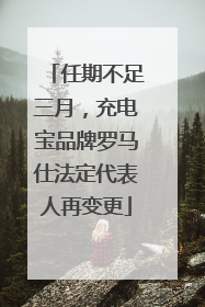 任期不足三月，充电宝品牌罗马仕法定代表人再变更