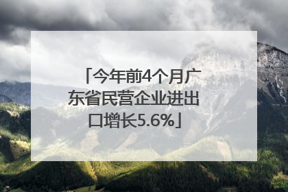 今年前4个月广东省民营企业进出口增长5.6%