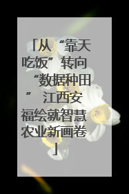从“靠天吃饭”转向“数据种田” 江西安福绘就智慧农业新画卷