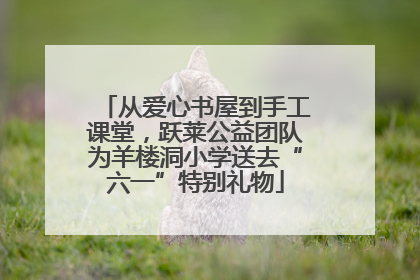 从爱心书屋到手工课堂，跃莱公益团队为羊楼洞小学送去“六一”特别礼物