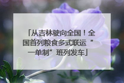 从吉林驶向全国！全国首列粮食多式联运“一单制”班列发车