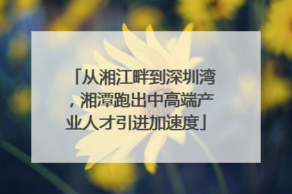 从湘江畔到深圳湾，湘潭跑出中高端产业人才引进加速度