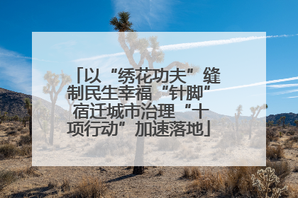 以“绣花功夫”缝制民生幸福“针脚” 宿迁城市治理“十项行动”加速落地