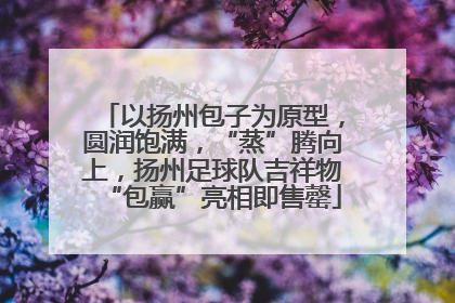 以扬州包子为原型，圆润饱满，“蒸”腾向上，扬州足球队吉祥物“包赢”亮相即售罄