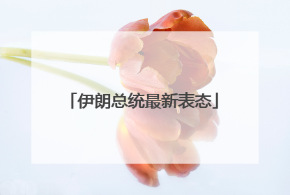伊朗总统最新表态