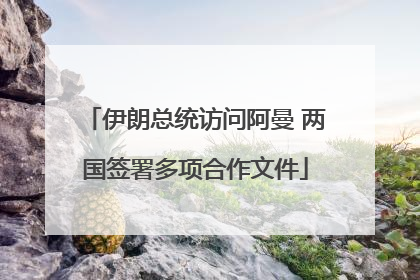 伊朗总统访问阿曼 两国签署多项合作文件