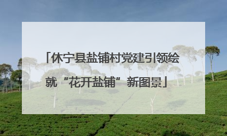 休宁县盐铺村党建引领绘就“花开盐铺”新图景