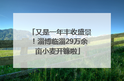 又是一年丰收盛景！淄博临淄29万余亩小麦开镰啦