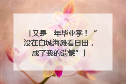 又是一年毕业季！“没在白城海滩看日出，成了我的遗憾”