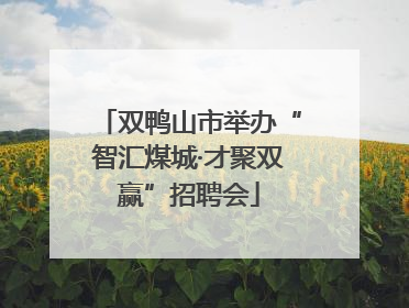 双鸭山市举办“智汇煤城·才聚双赢”招聘会