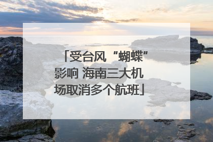 受台风“蝴蝶”影响 海南三大机场取消多个航班