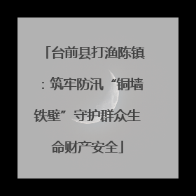 台前县打渔陈镇：筑牢防汛“铜墙铁壁”守护群众生命财产安全
