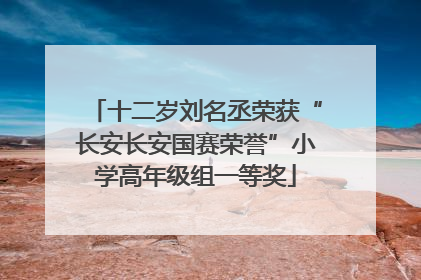 十二岁刘名丞荣获“长安长安国赛荣誉”小学高年级组一等奖