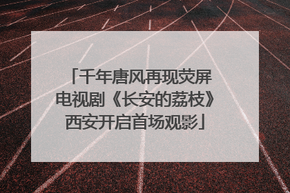 千年唐风再现荧屏 电视剧《长安的荔枝》西安开启首场观影