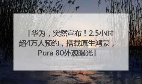 华为，突然宣布！2.5小时超4万人预约，搭载原生鸿蒙，Pura 80外观曝光