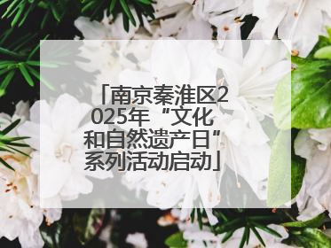 南京秦淮区2025年“文化和自然遗产日”系列活动启动