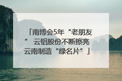 南博会5年“老朋友” 云铝股份不断擦亮云南制造“绿名片”