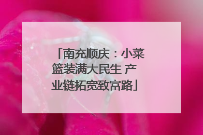 南充顺庆：小菜篮装满大民生 产业链拓宽致富路