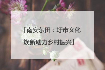 南安东田：圩市文化焕新助力乡村振兴