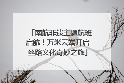 南航非遗主题航班启航！万米云端开启丝路文化奇妙之旅