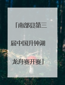 南部县第三届中国升钟湖龙舟赛开赛