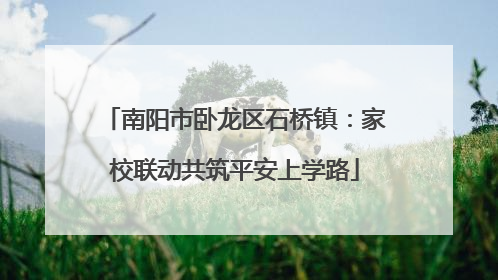 南阳市卧龙区石桥镇：家校联动共筑平安上学路