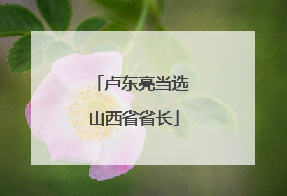 卢东亮当选山西省省长