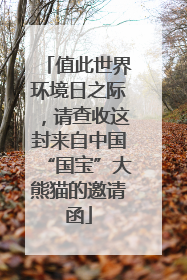 值此世界环境日之际，请查收这封来自中国“国宝”大熊猫的邀请函