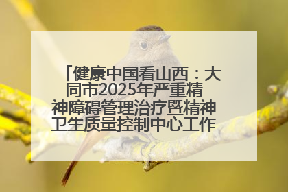 健康中国看山西：大同市2025年严重精神障碍管理治疗暨精神卫生质量控制中心工作培训班开班