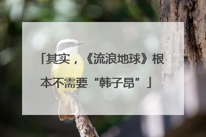 其实，《流浪地球》根本不需要“韩子昂”