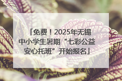 免费！2025年无锡中小学生暑期“七彩公益安心托班”开始报名