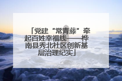 党建“常青藤”牵起百姓幸福线——桦南县秀北社区创新基层治理纪实