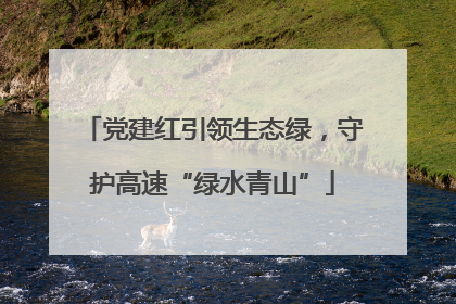 党建红引领生态绿，守护高速“绿水青山”