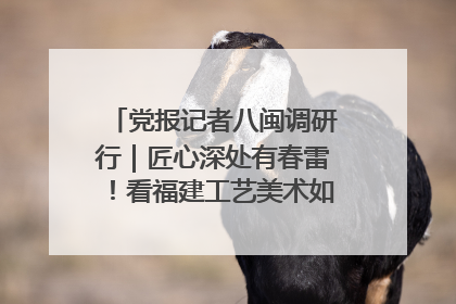党报记者八闽调研行｜匠心深处有春雷！看福建工艺美术如何创新表达
