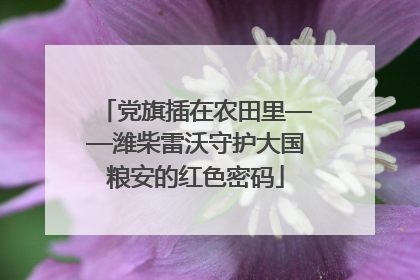 党旗插在农田里——潍柴雷沃守护大国粮安的红色密码